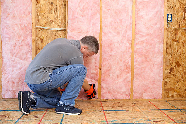 Best Commercial Insulation in Resaca, GA